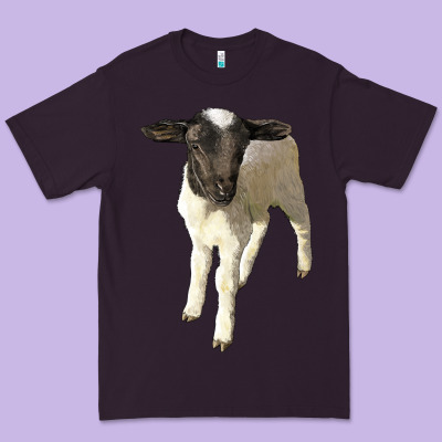 Dorper Baby Sheep Premium Tee Designed By Lillyallendesigns