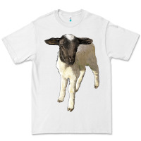 White dorper baby sheep Premium Tee - LillyAllenDesigns
