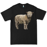 Black southdown sheep Premium Tee - LillyAllenDesigns