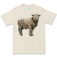 Bone southdown sheep Premium Tee - LillyAllenDesigns