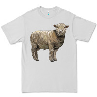 Dove Grey southdown sheep Premium Tee - LillyAllenDesigns
