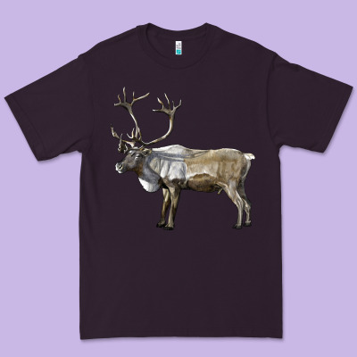 Reindeer Buck Deer Premium Tee Designed By Lillyallendesigns