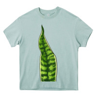 Arona Snake Plant Heavy Core Tee - LillyAllenDesigns