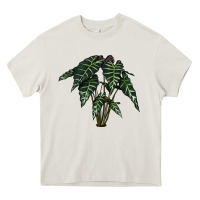 Cream Amazon Elephant Ear Heavy Core Tee - LillyAllenDesigns