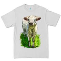Dove Grey Charolais Heifer Premium Tee - LillyAllenDesigns