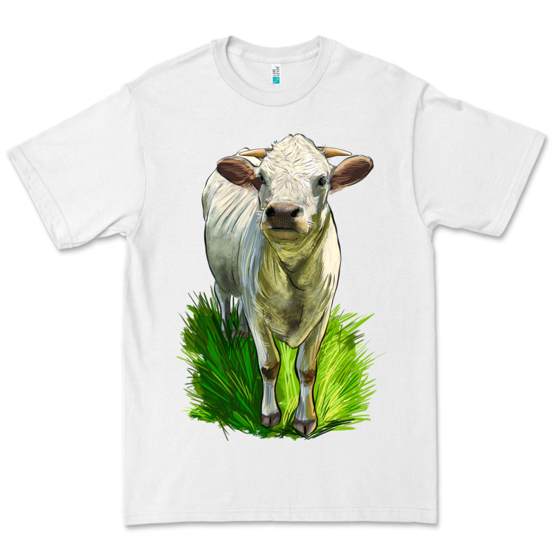 Charolais Heifer Premium Tee by LillyAllenDesigns | Teevron