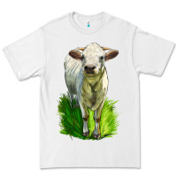 White Charolais Heifer Premium Tee - LillyAllenDesigns