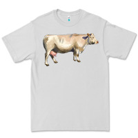 Dove Grey charolais cattle Premium Tee - LillyAllenDesigns