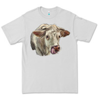 Charolais Cattle Face Premium Tee | Teevron