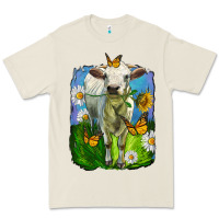 Bone charolais heifer with sunflower and daisies Premium Tee - LillyAllenDesigns