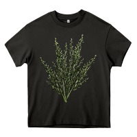 Asphalt Botanical Sagebrush Illustrations Heavy Core Tee - LillyAllenDesigns