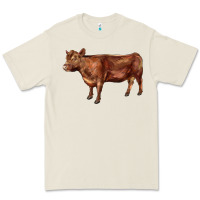 Bone red angus cow Premium Tee - LillyAllenDesigns