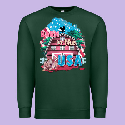 Barn In The Usa Premium Sweatshirt Designed By Fadigitalartstudio