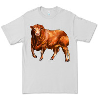 Dove Grey red angus bull Premium Tee - LillyAllenDesigns