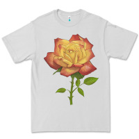 Dove Grey rainbow's end rose Premium Tee - LillyAllenDesigns