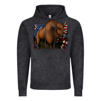 Vintage Black American Bison Vintage Hoodie - Jasminsmagicworld