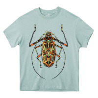 Arona Acrocinus Beetle Illustrations Heavy Core Tee - LillyAllenDesigns