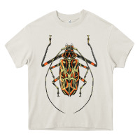 Cream Acrocinus Beetle Illustrations Heavy Core Tee - LillyAllenDesigns