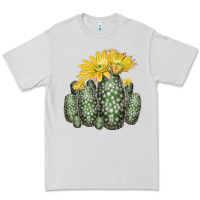 Dove Grey texas rainbow cactus Premium Tee - LillyAllenDesigns