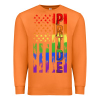 Carrot lgbtq pride american flag Premium Sweatshirt - FaDigitalArtStudio
