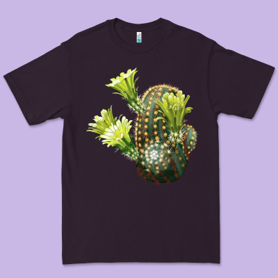 Nylon Hedgehog Cactus Premium Tee Designed By Lillyallendesigns