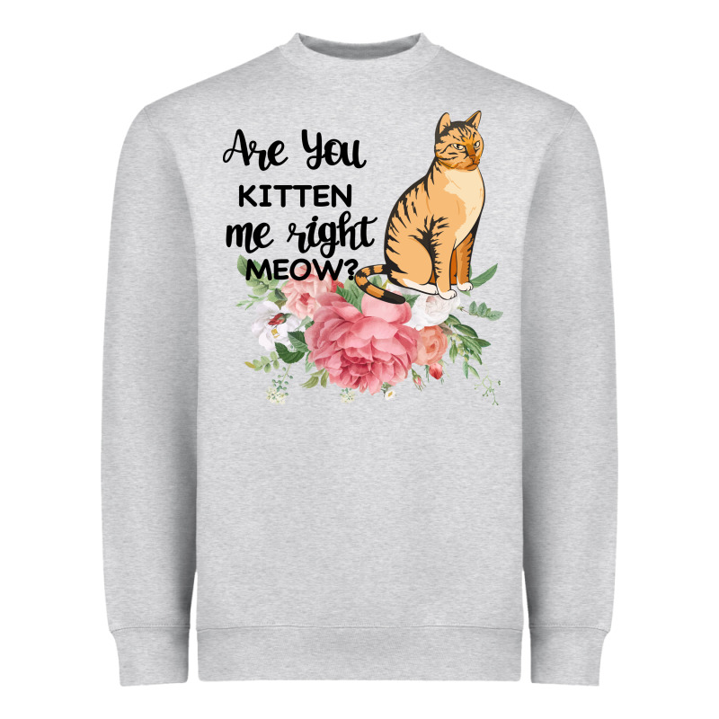 Are You Kitten Me Right Meow Heavyweight Sweatshirt by Bettercallsaul | Teevron