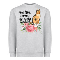 Heather Grey Are you kitten me right meow Heavyweight Sweatshirt - Bettercallsaul