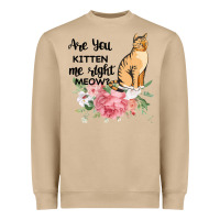 Mushroom Are you kitten me right meow Heavyweight Sweatshirt - Bettercallsaul