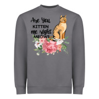 Storm Are you kitten me right meow Heavyweight Sweatshirt - Bettercallsaul