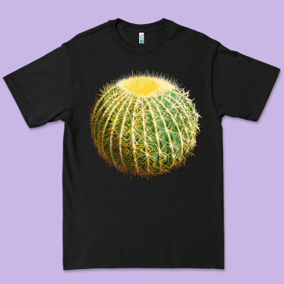 Golden Barrel Cactus Premium Tee Designed By Lillyallendesigns