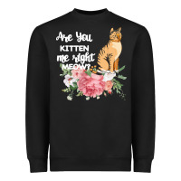 Cat Maine Coon Gift Kidding Kitten Meow Pussycat Heavyweight Sweatshirt | Teevron