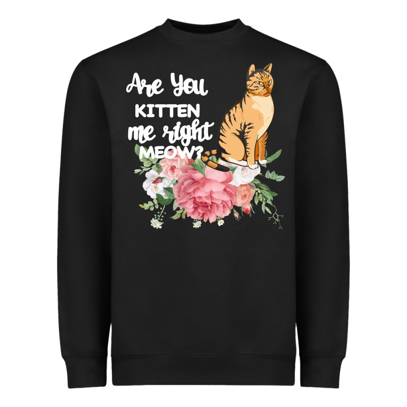 Cat Maine Coon Gift Kidding Kitten Meow Pussycat Heavyweight Sweatshirt by Bettercallsaul | Teevron