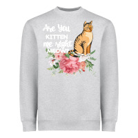 Heather Grey Cat Maine coon gift kidding kitten meow pussycat Heavyweight Sweatshirt - Bettercallsaul