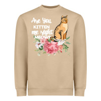 Mushroom Cat Maine coon gift kidding kitten meow pussycat Heavyweight Sweatshirt - Bettercallsaul