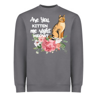 Storm Cat Maine coon gift kidding kitten meow pussycat Heavyweight Sweatshirt - Bettercallsaul