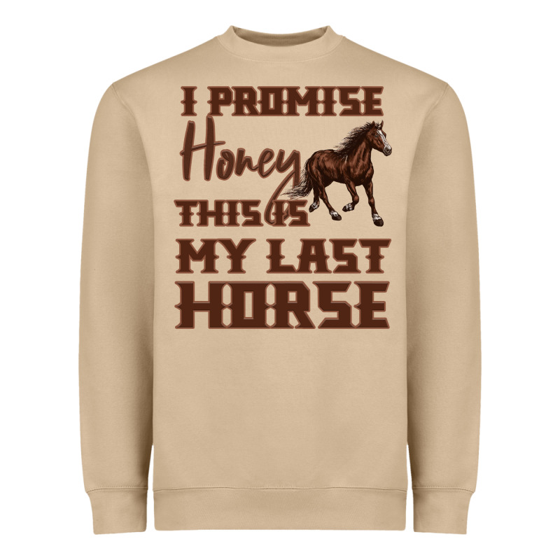 I Promise Honey This Is My Last Horse Heavyweight Sweatshirt by Bettercallsaul | Teevron