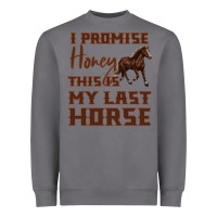 Storm I Promise Honey This Is My Last Horse Heavyweight Sweatshirt - Bettercallsaul