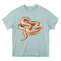 Arona Rosy Boa Snake Illustrations Heavy Core Tee - LillyAllenDesigns