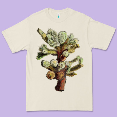 Cholla Tree Cactus Premium Tee Designed By Lillyallendesigns
