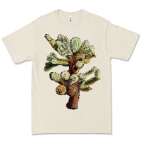 Bone cholla tree cactus Premium Tee - LillyAllenDesigns