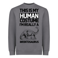 Storm This Is My Human Costume Im Really A Brachiosaurus Heavyweight Sweatshirt - Bettercallsaul
