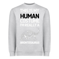 Heather Grey This Is My Human Costume Im Really A Brachiosaurus Heavyweight Sweatshirt - Bettercallsaul