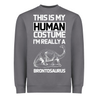 Storm This Is My Human Costume Im Really A Brachiosaurus Heavyweight Sweatshirt - Bettercallsaul