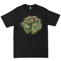 Black eagle claws cactus Premium Tee - LillyAllenDesigns