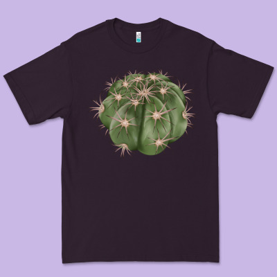Eagle Claws Cactus Premium Tee Designed By Lillyallendesigns