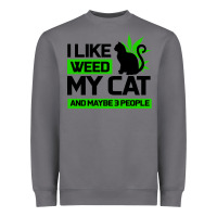 Storm Cat Weed I Like My Cat Gift Heavyweight Sweatshirt - Bettercallsaul