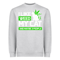 Heather Grey Cat Weed I Like My Cat Gift Heavyweight Sweatshirt - Bettercallsaul