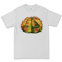 Dove Grey Gymnocalycium Variegated Cactus Premium Tee - LillyAllenDesigns