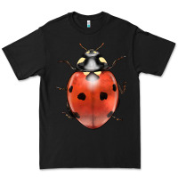 Black lady bug Premium Tee - LillyAllenDesigns