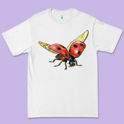 Ladybug Flying Premium Tee Designed By Lillyallendesigns